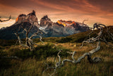 Torres Del Paine in sunrise Poster och Canvastavla