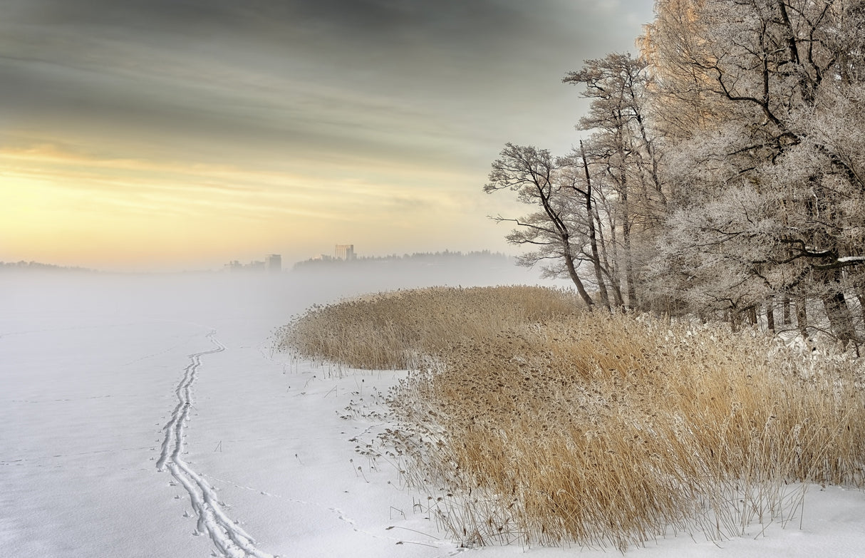 Misty winter morning Poster och Canvastavla