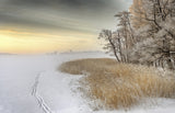 Misty winter morning Poster och Canvastavla