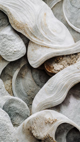 Sea Shells Detail No 3 Poster och Canvastavla