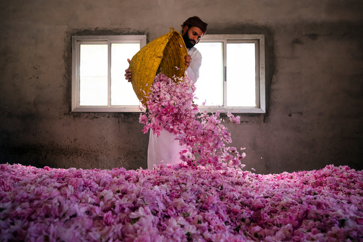 Rose Harvest Season Poster och Canvastavla