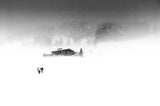 Snow storm Poster och Canvastavla