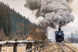 The steam train Poster och Canvastavla
