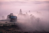 Morning Mist Poster och Canvastavla