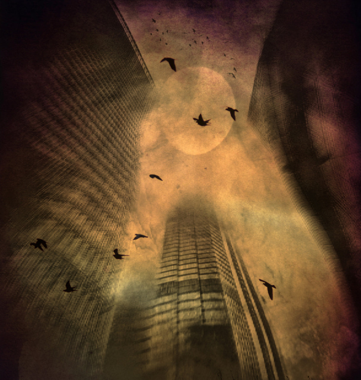 Autumn Thoughts ... Poster och Canvastavla