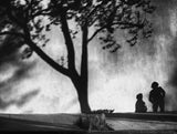 Women conversation (shadows) Poster och Canvastavla