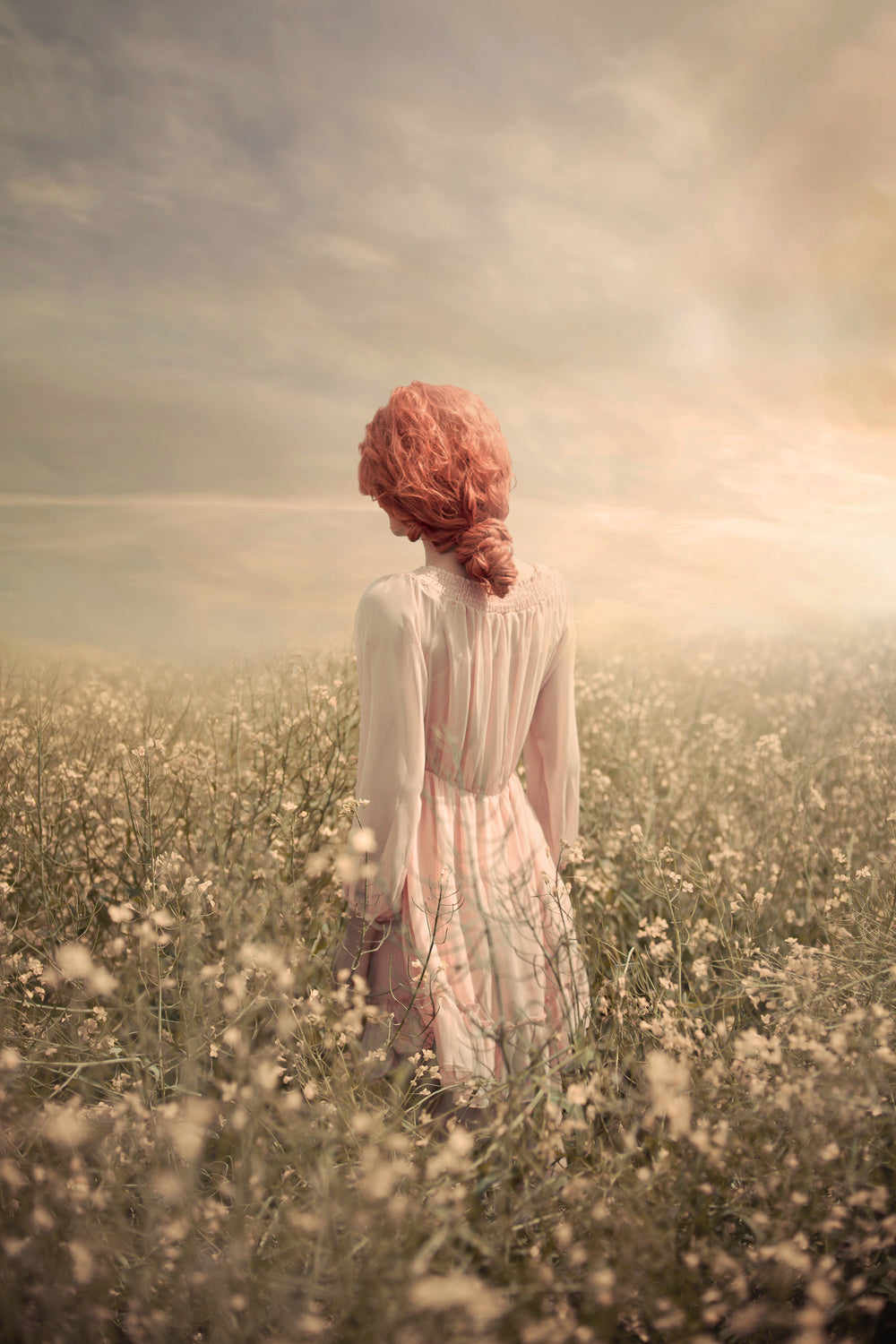 Field in Pastel Poster och Canvastavla