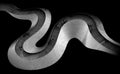 Snake Poster och Canvastavla