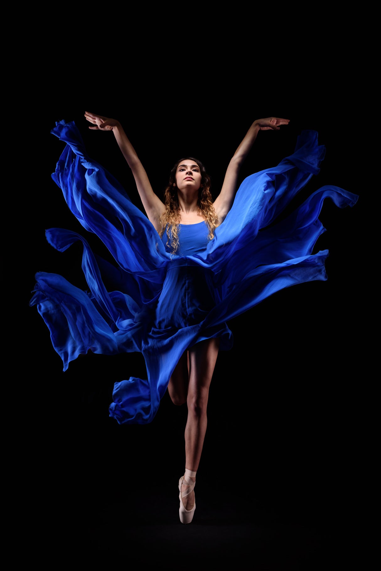 Blue Flower Poster och Canvastavla