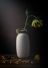 Withered in the sun Poster och Canvastavla