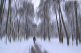 Alone Poster och Canvastavla