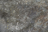 Tex Surface S41 Poster och Canvastavla