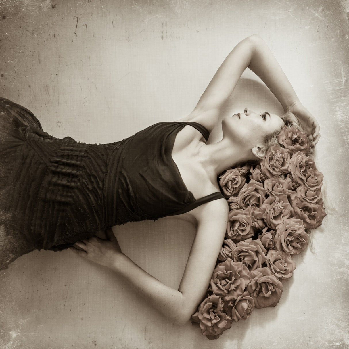 Roses Poster och Canvastavla