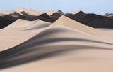 Impression of the desert... Poster och Canvastavla