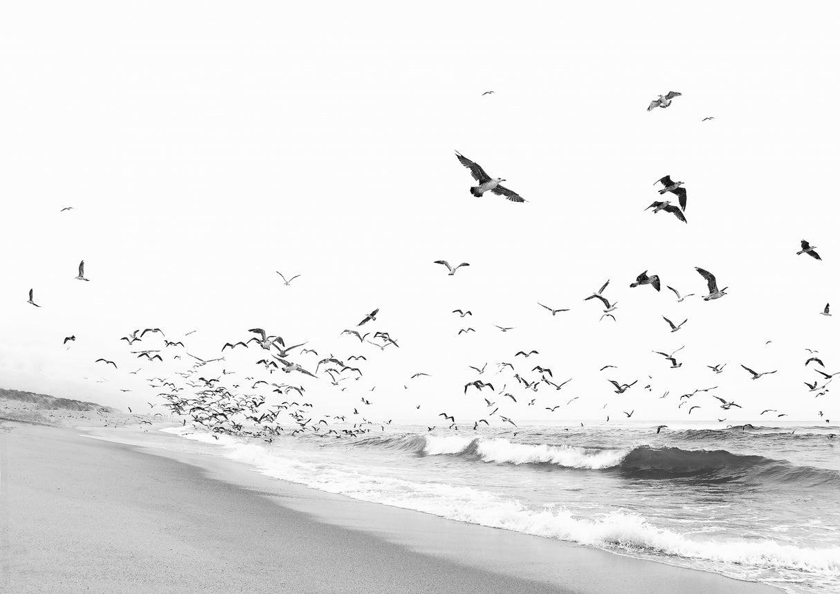Seascape BW Poster och Canvastavla