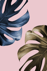 Monstera Pink 11 Poster och Canvastavla