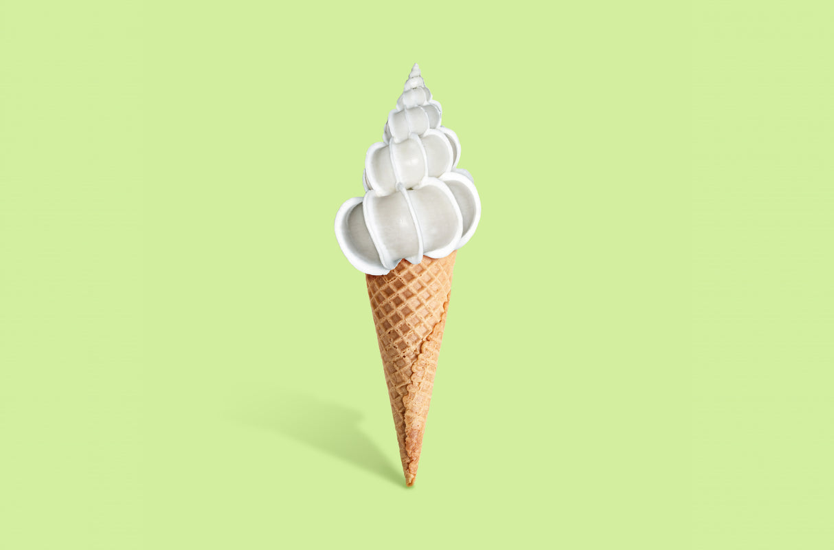 Shell cream Poster och Canvastavla