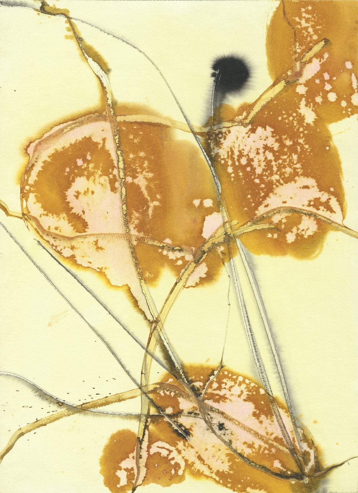 The Floral Abstract 2 Poster och Canvastavla
