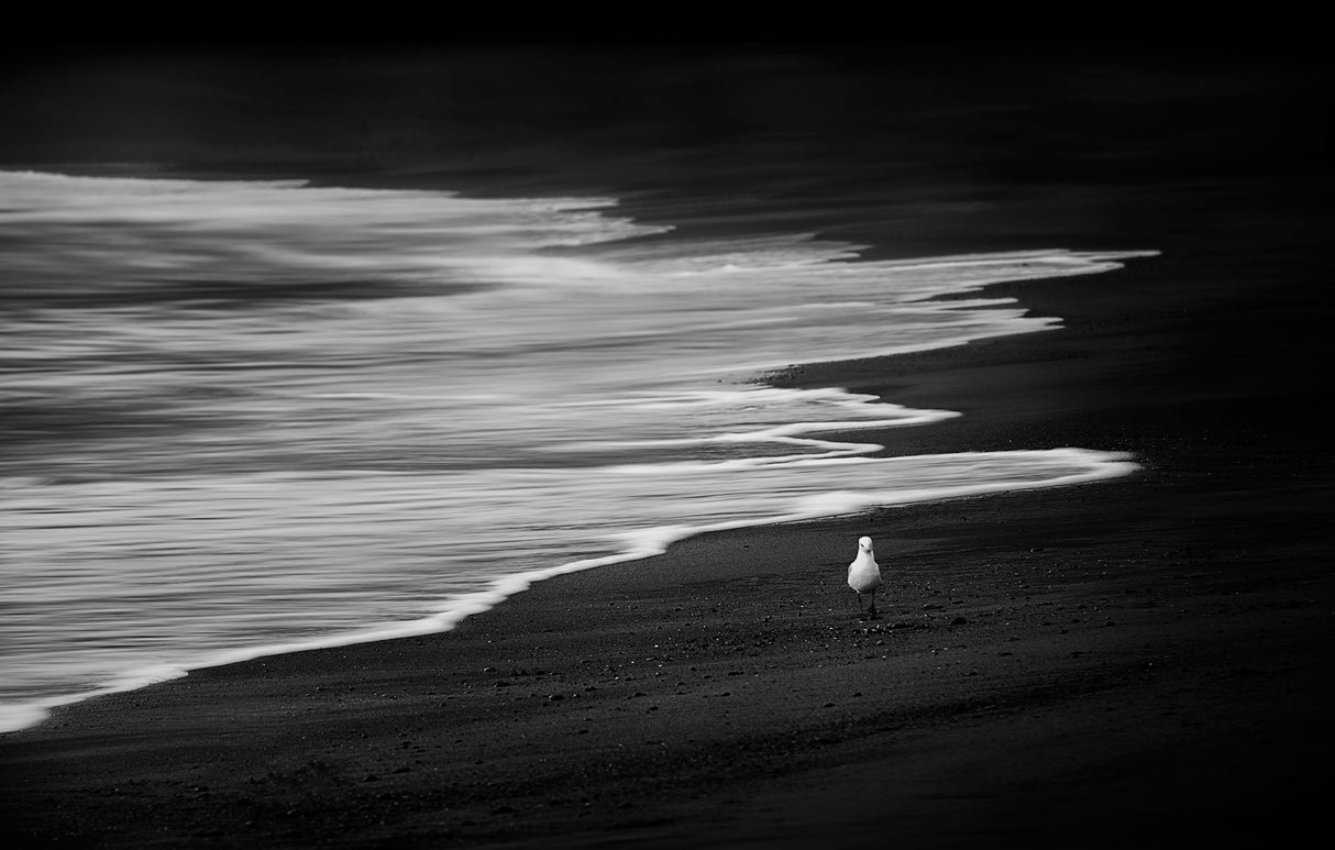 On The Black Sand Poster och Canvastavla