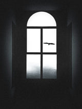 Bird in the window Poster och Canvastavla