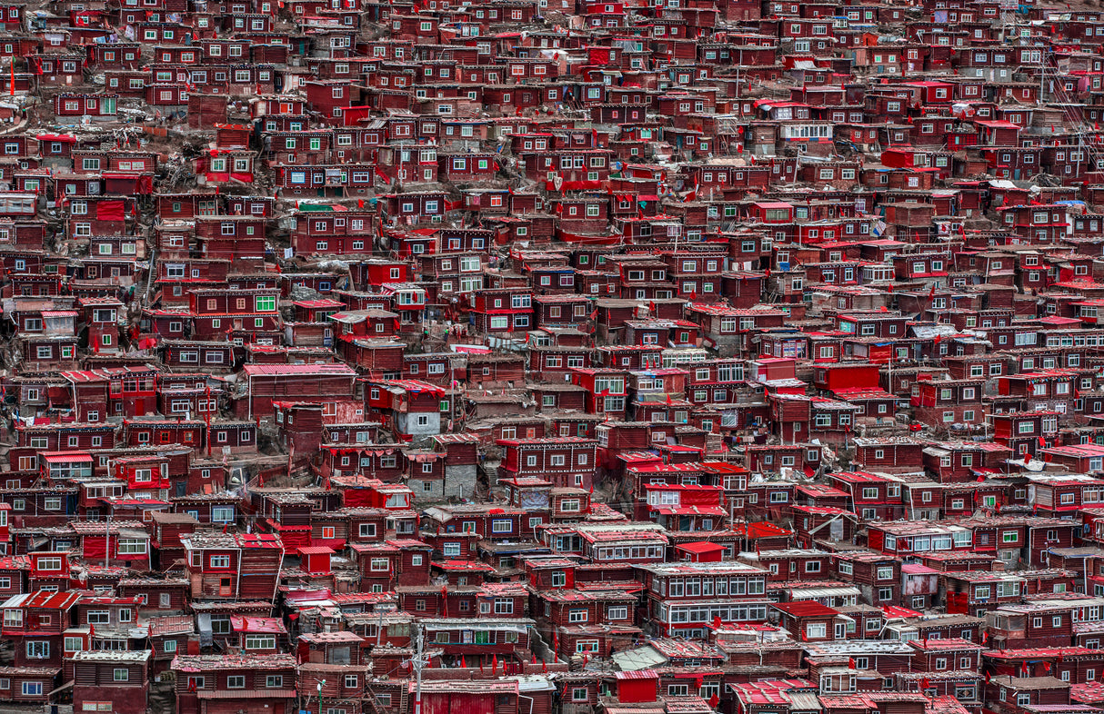 Red houses Poster och Canvastavla
