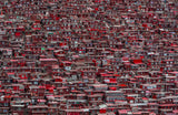 Red houses Poster och Canvastavla
