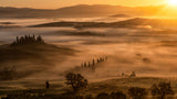 l'alba in val d'Orcia Poster och Canvastavla
