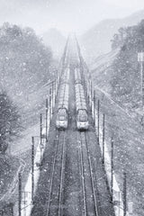 Snowpiercer Poster och Canvastavla