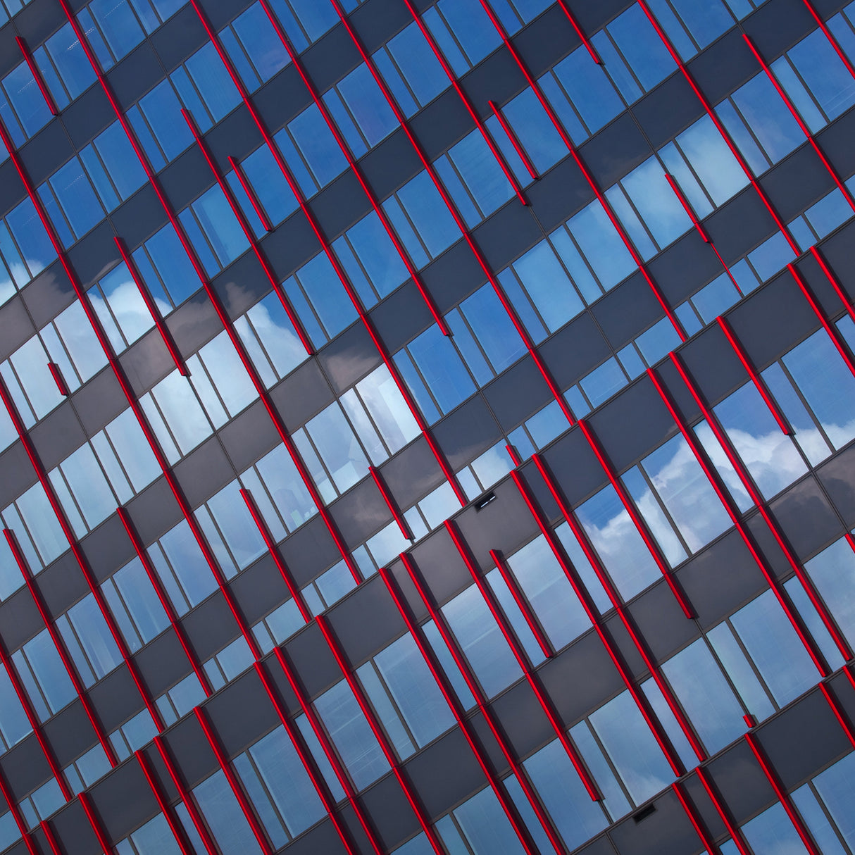 Red stripes in blue Poster och Canvastavla