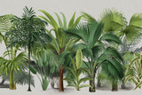 Exotic Wildlife 004 Poster och Canvastavla