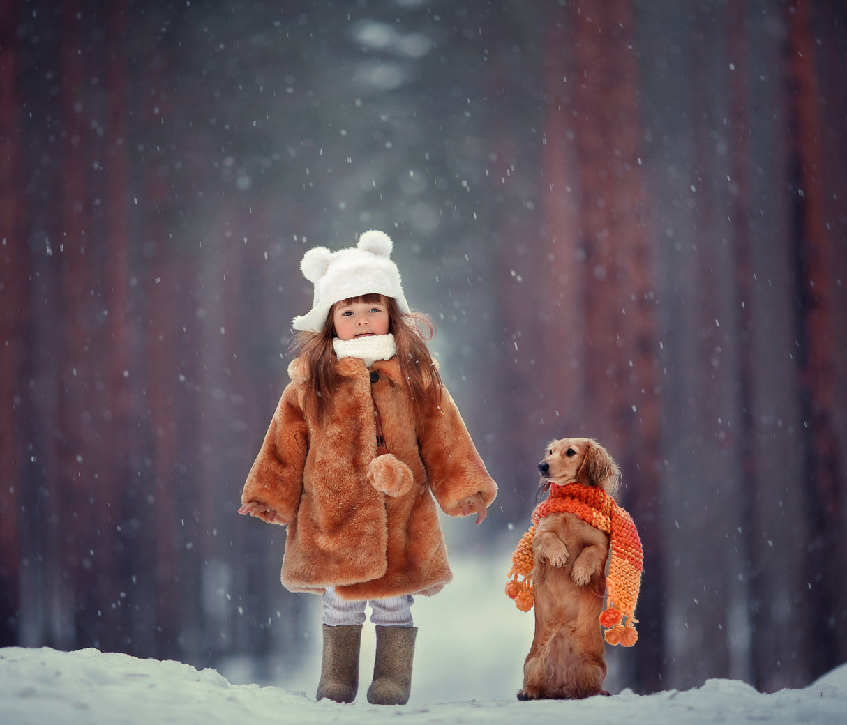 dolls Poster och Canvastavla