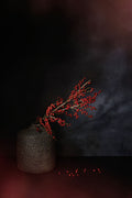 Longing for Christmas . Poster och Canvastavla