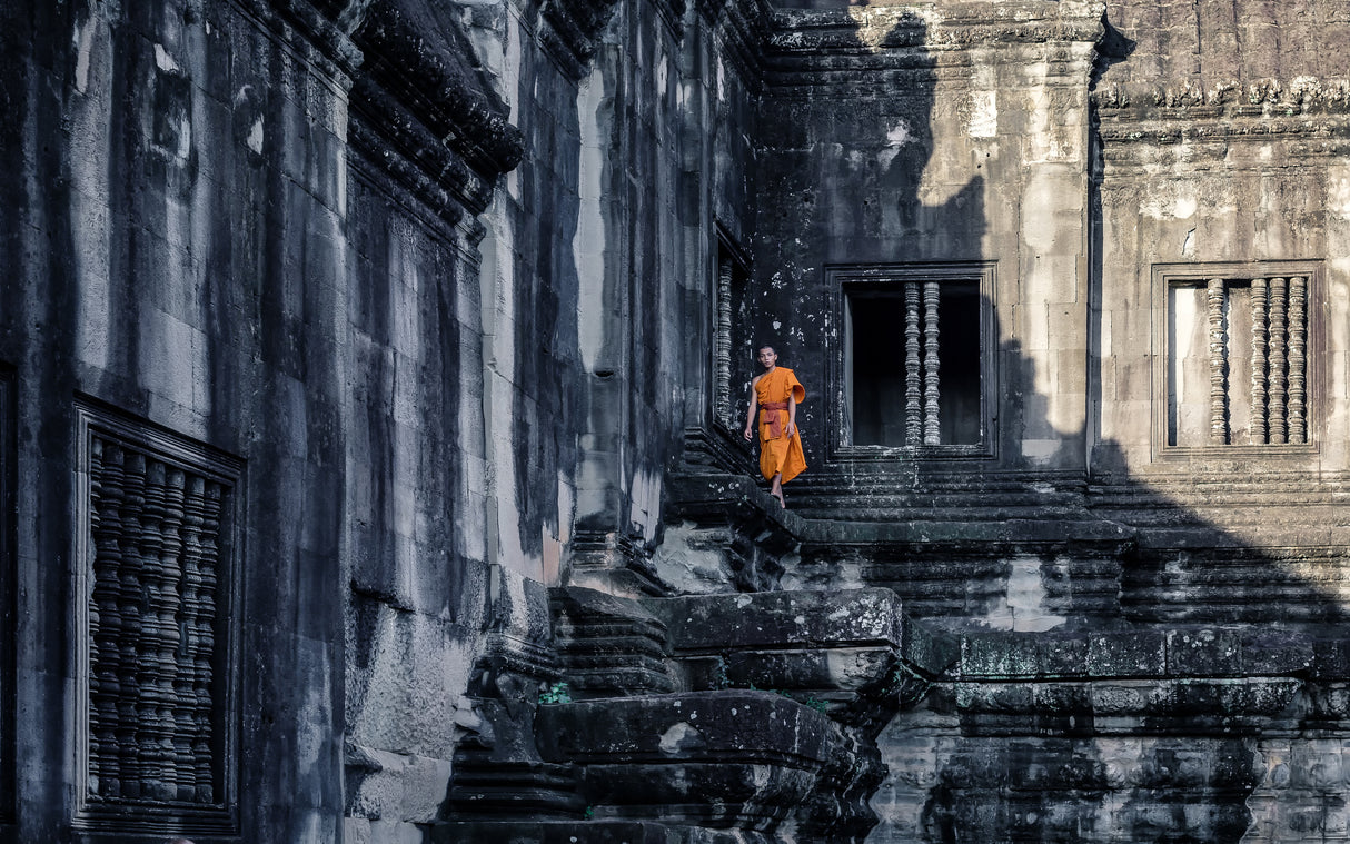 The young monk Poster och Canvastavla