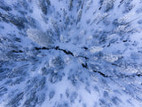 Winter wonderland Poster och Canvastavla