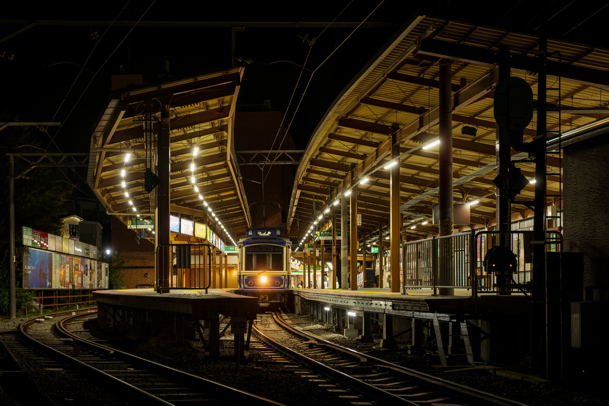 The last train of the day. Poster och Canvastavla