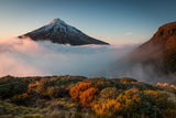 mt taranaki Poster och Canvastavla