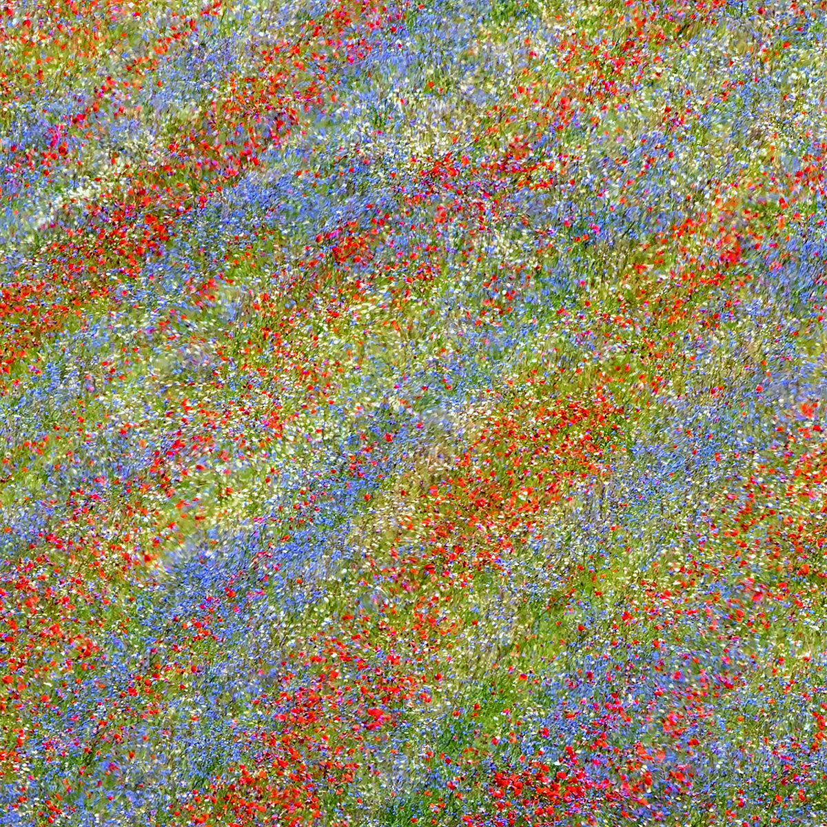 Castelluccio 2 Poster och Canvastavla