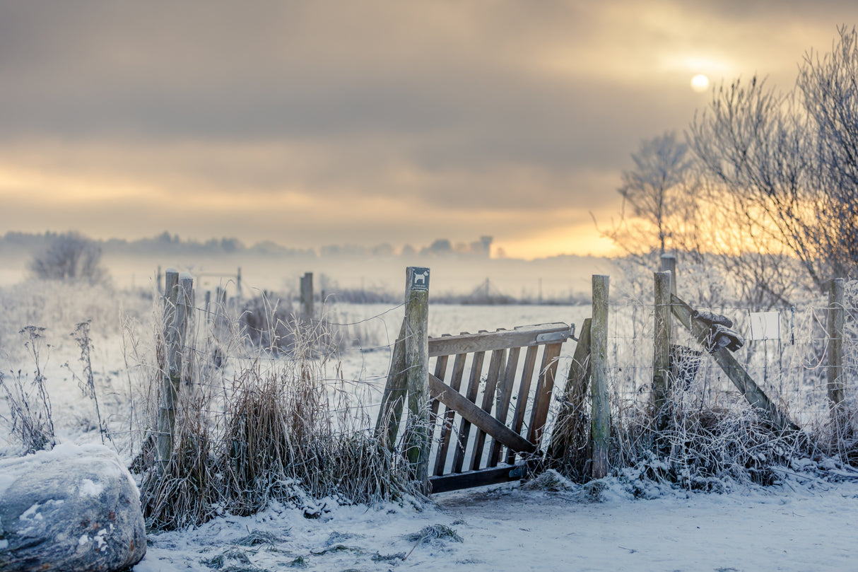 Winter gate Poster och Canvastavla