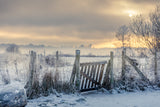 Winter gate Poster och Canvastavla