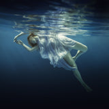 Ballet Poster och Canvastavla
