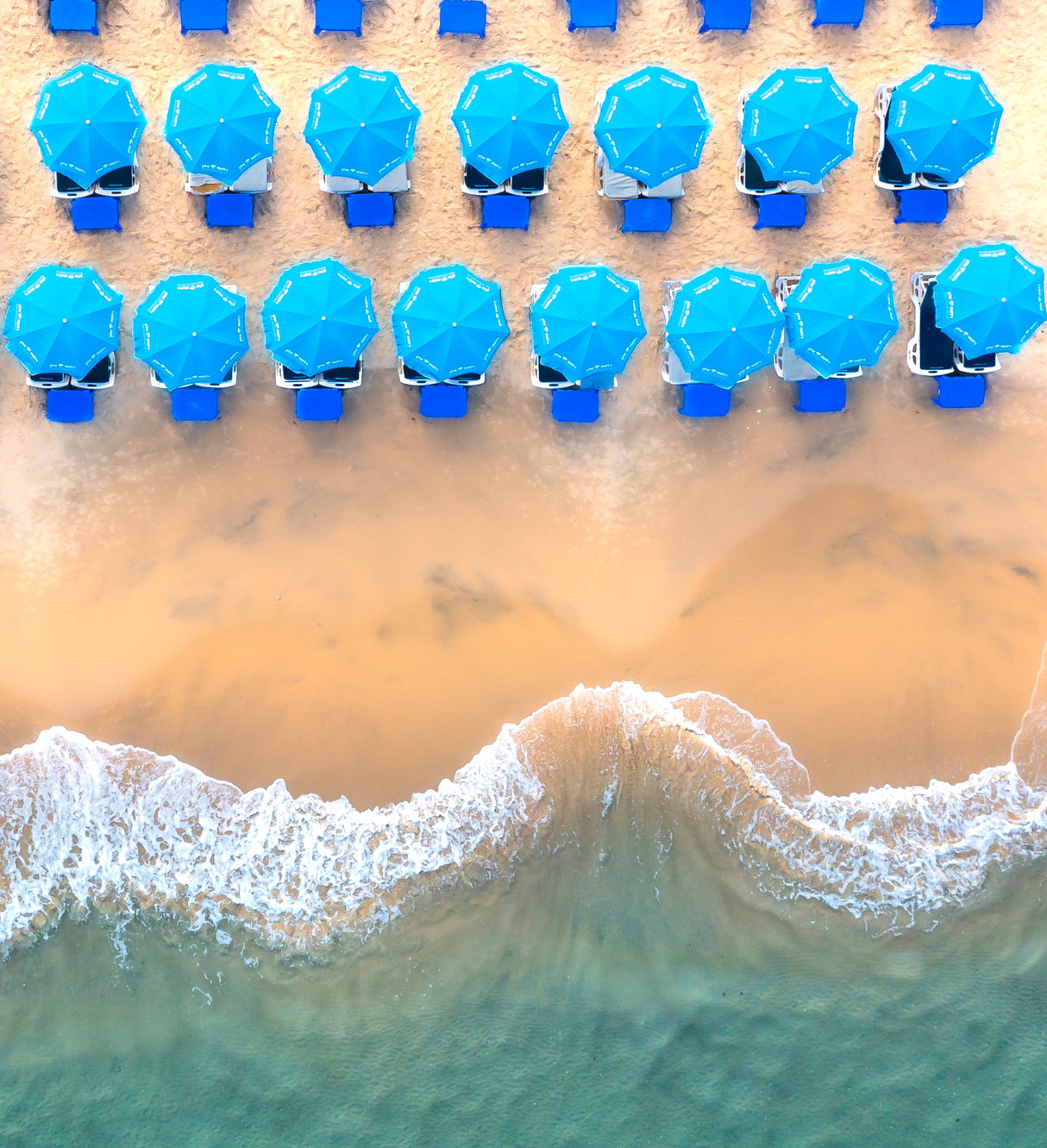 Beach day Poster och Canvastavla