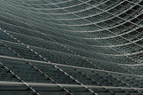 Wavy lines Poster och Canvastavla