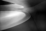 curved lines Poster och Canvastavla