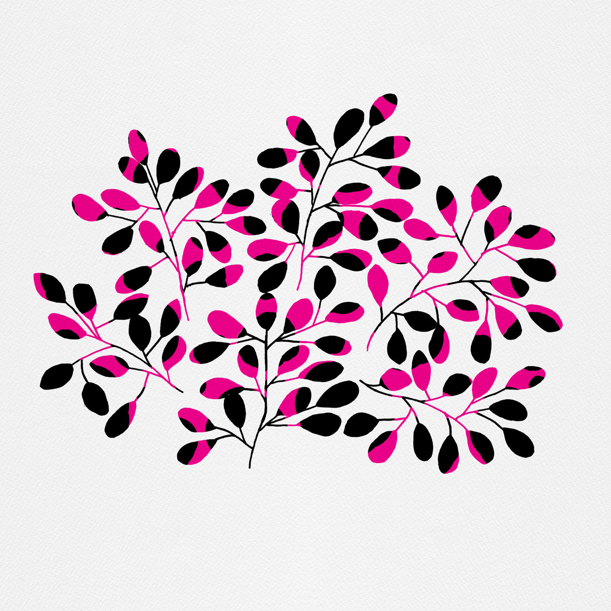 Leaf Sprig Pink Black Poster och Canvastavla