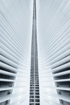 Symmetry: The Original Zipper Poster och Canvastavla