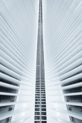Symmetry: The Original Zipper Poster och Canvastavla