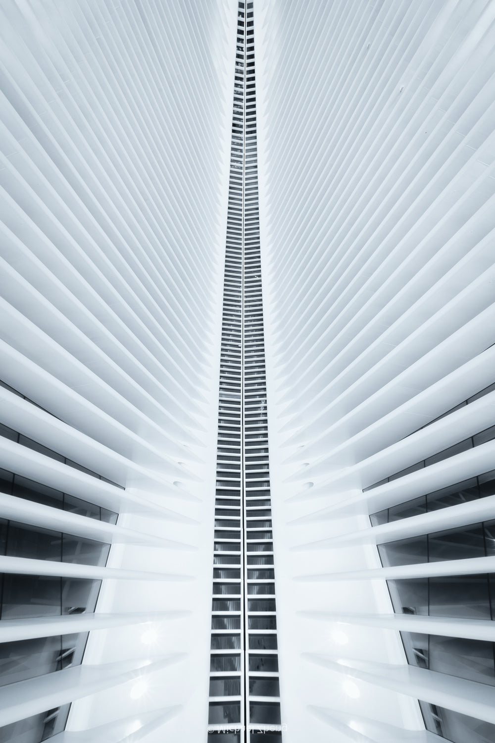 Symmetry: The Original Zipper Poster och Canvastavla