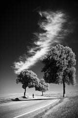Long White Cloud Poster och Canvastavla