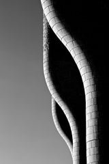 Perfect Butts Poster och Canvastavla