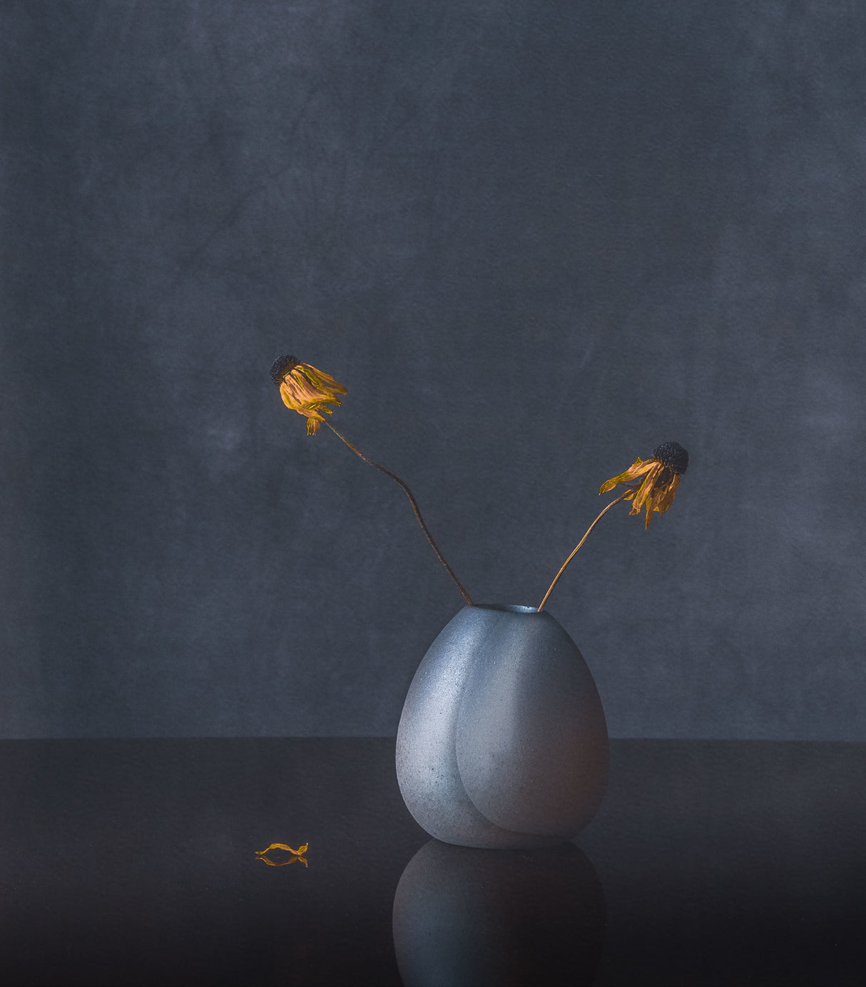 Still Life Poster och Canvastavla